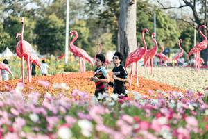 BIB: 
                            <button type="button" onclick="openModal(27344299)" class="btn btn-primary btn-sm float-right btn-popup" data-toggle="modal" data-target=".modal-high-quality">
                        <i class="fas fa-shopping-cart"></i> Add to Cart
                    </button>
                                            <button type="button" onclick="isThisMe(27344299, true)" class="btn btn-success btn-sm float-right btn-popup btn-isme hidden" data-toggle="tooltip" data-placement="bottom" title="นี่คือรูปของคุณใช่ไหม คลิกที่นี่เพื่อเอาเข้าอัลบั้ม">
                        <i class="fas fa-plus"></i> Add to album
                    </button>
                    <button type="button" onclick="isThisMe(27344299, false)" class="btn btn-warning btn-sm float-right btn-popup btn-isnotme hidden">
                        <i class="fas fa-ban"></i> Remove from album
                    </button>